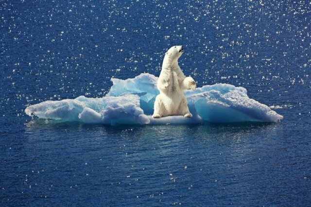 Kampf gegen den Klimawandel